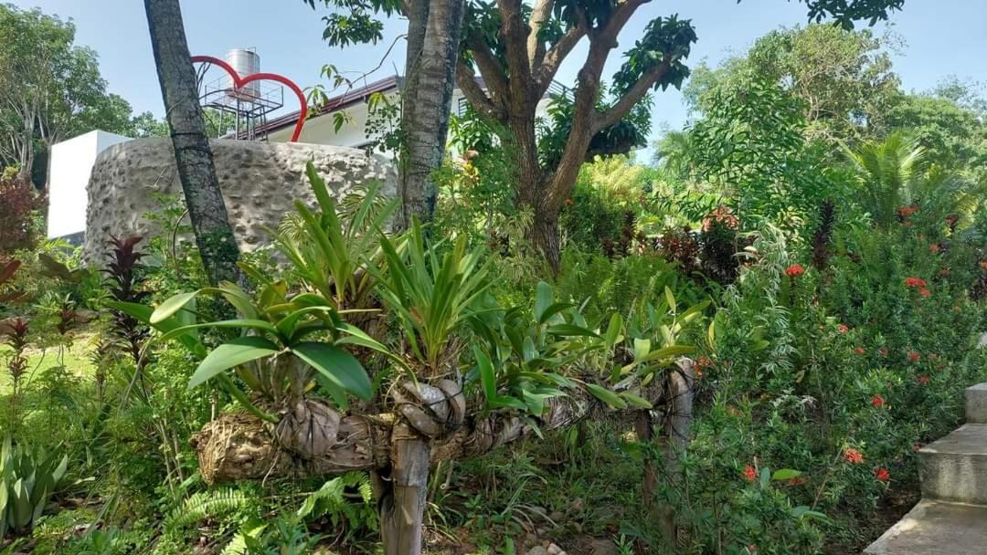 Matteo'S Hus Villa Rental Zamboanguita  Extérieur photo
